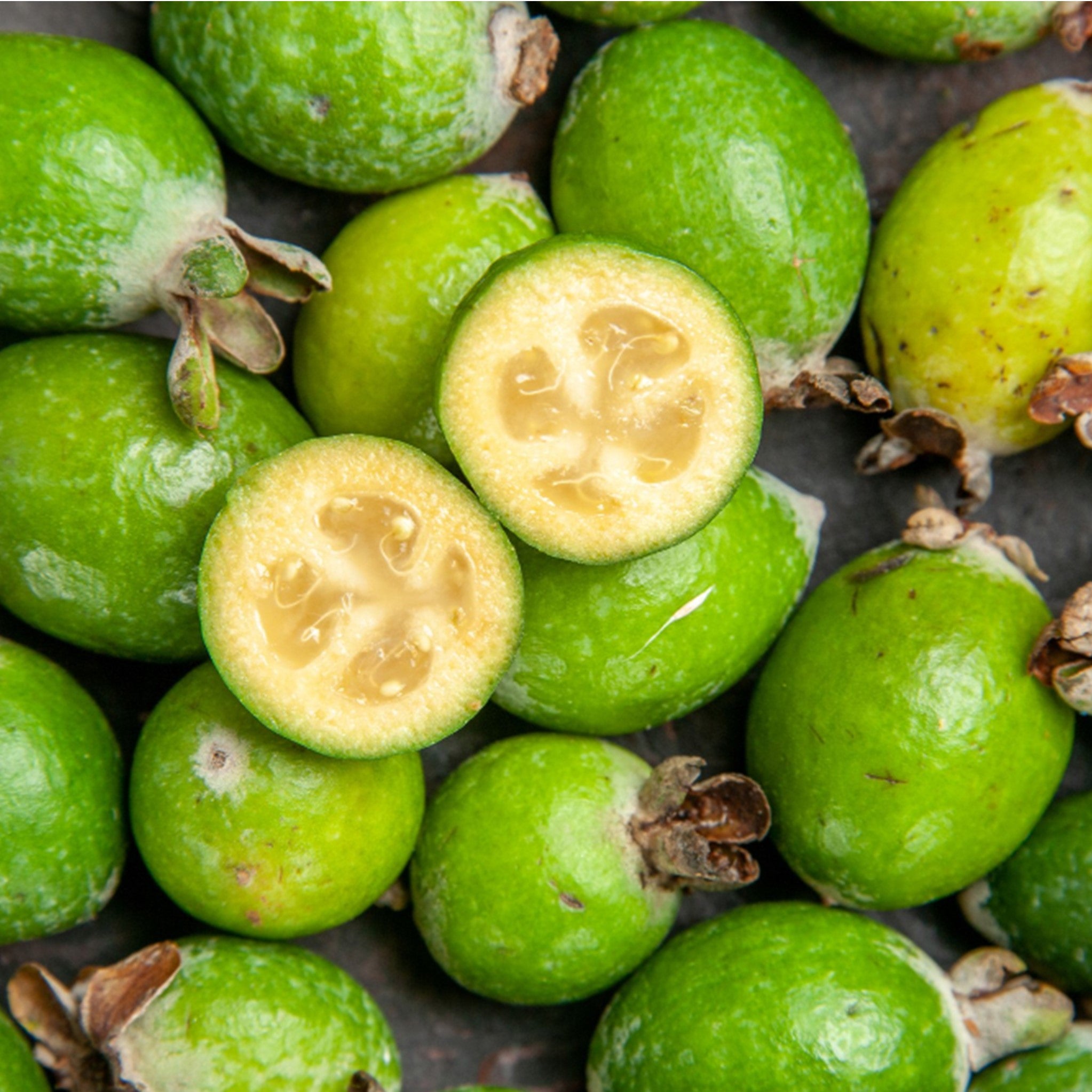 Kapiti Sugar Free Candy 100g - Feijoa Melts