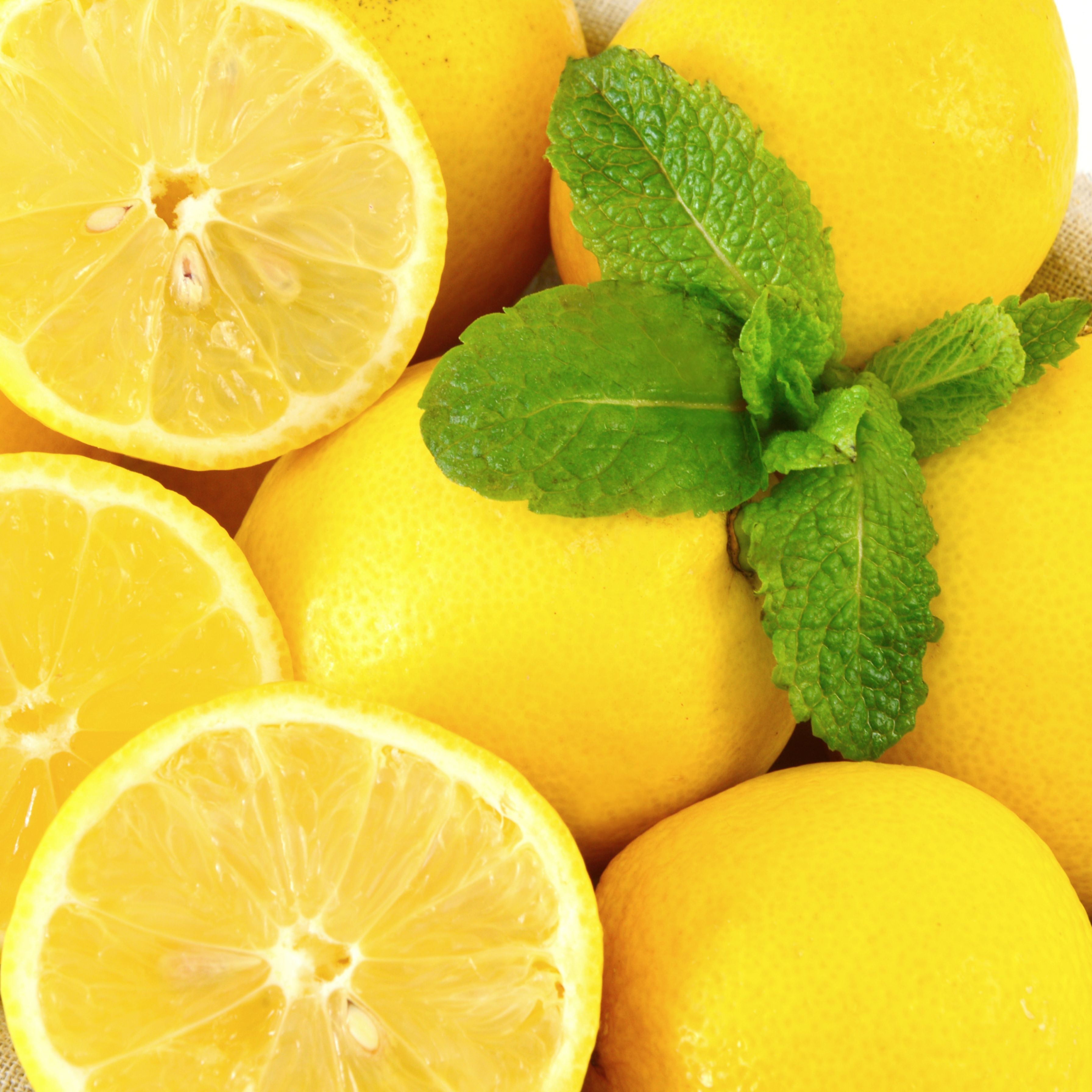 Kapiti Sugar Free Candy 100g - Lemon Menthol Cough