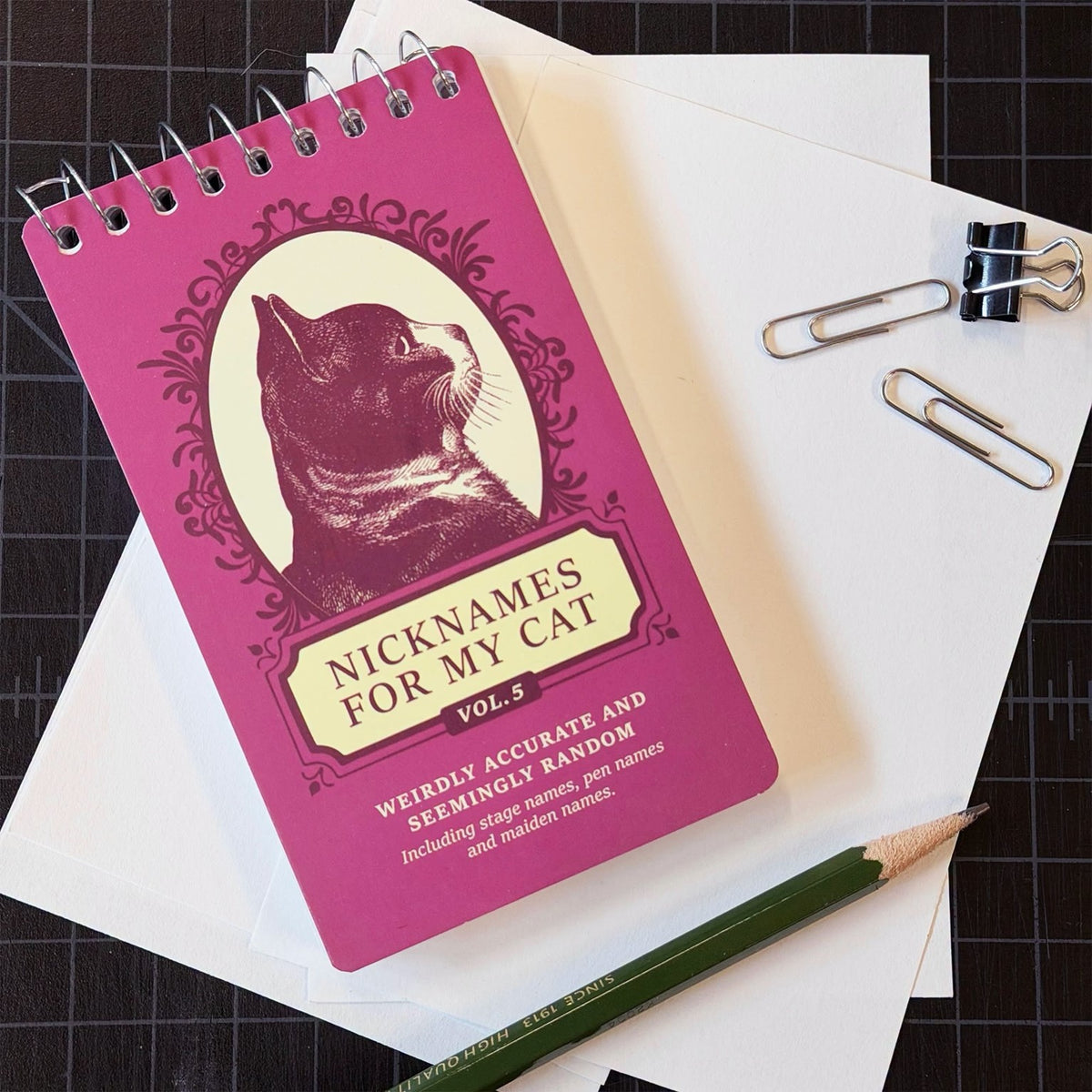 Spiral Notebooks - Nicknames for Cats