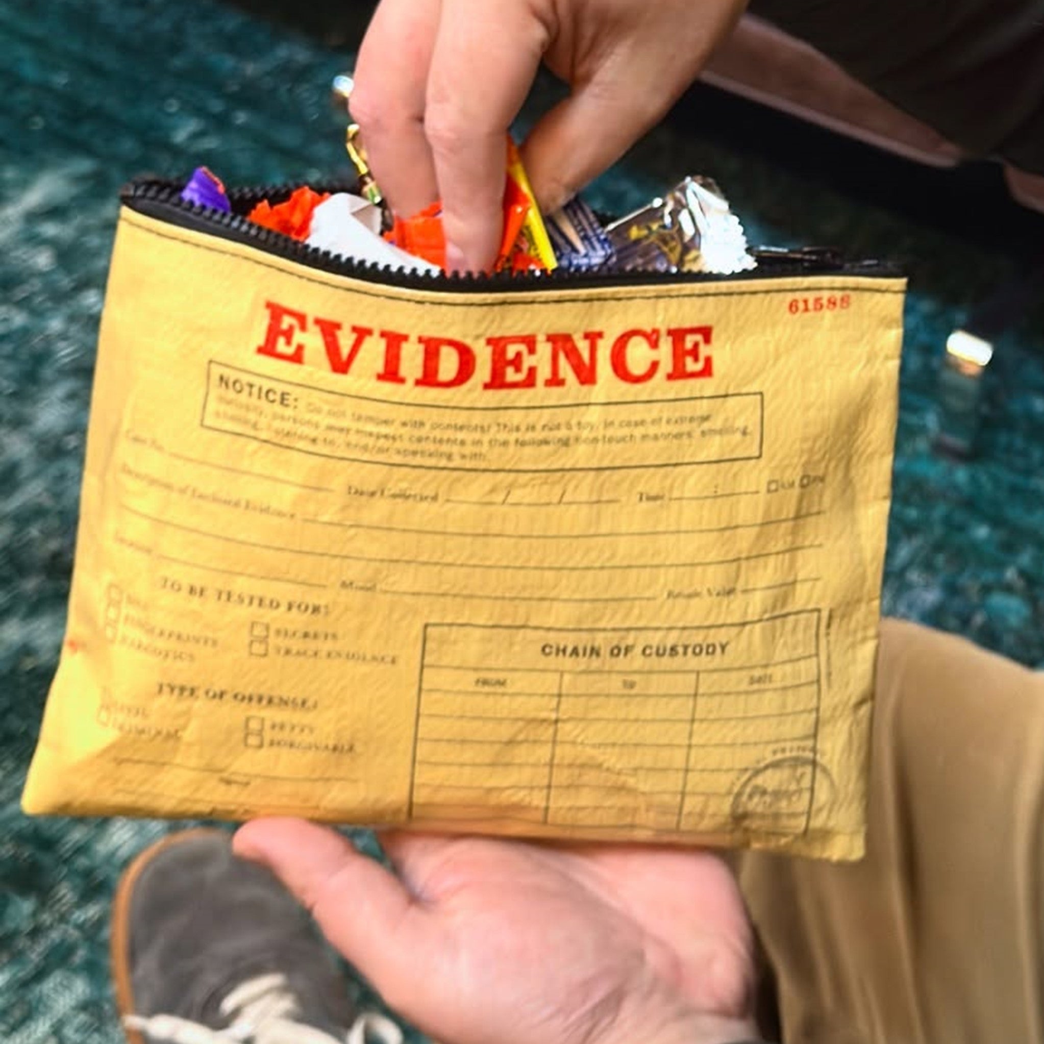 Zipper Pouch - Evidence