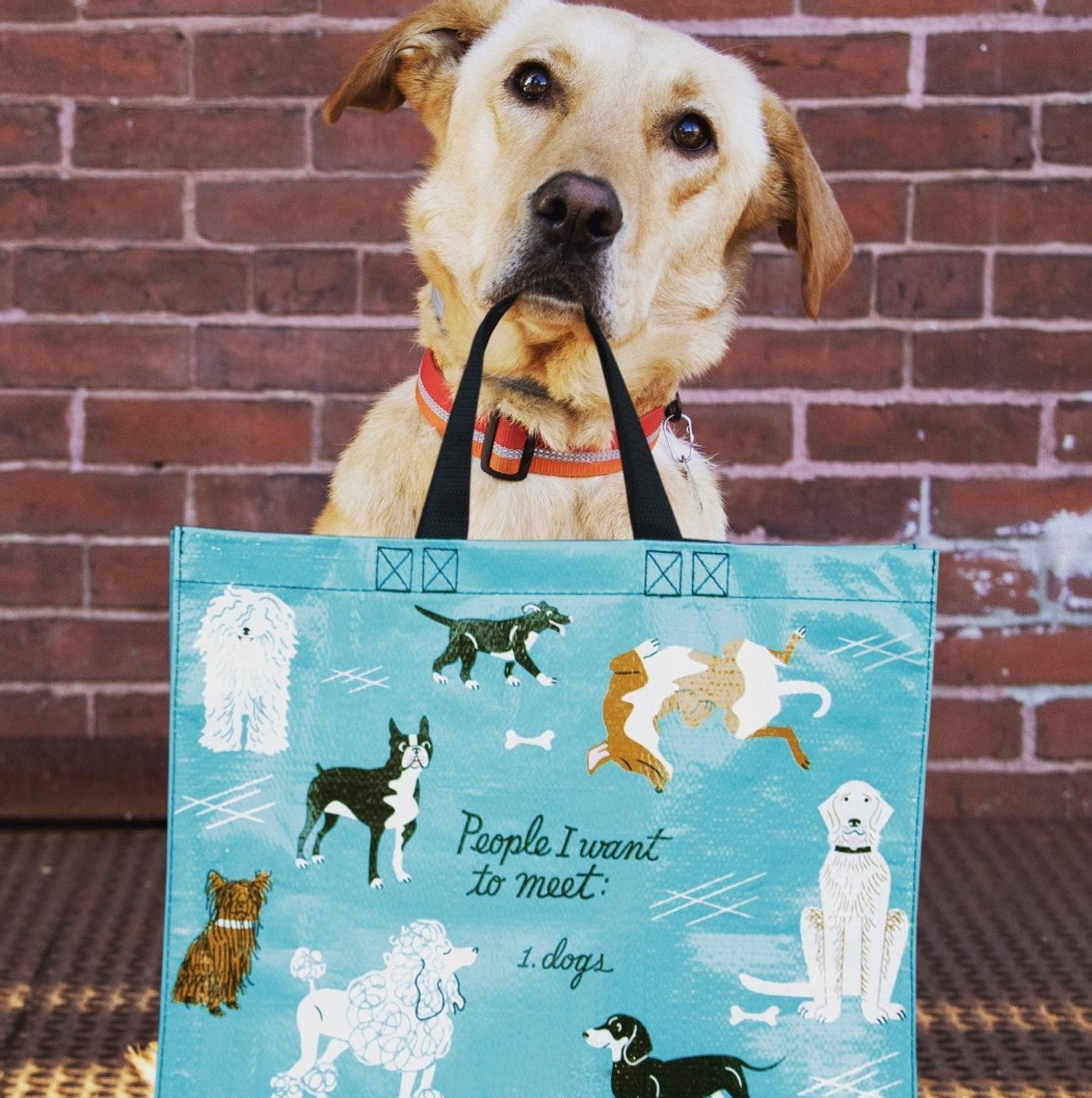 Shopper - People To Meet: Dogs