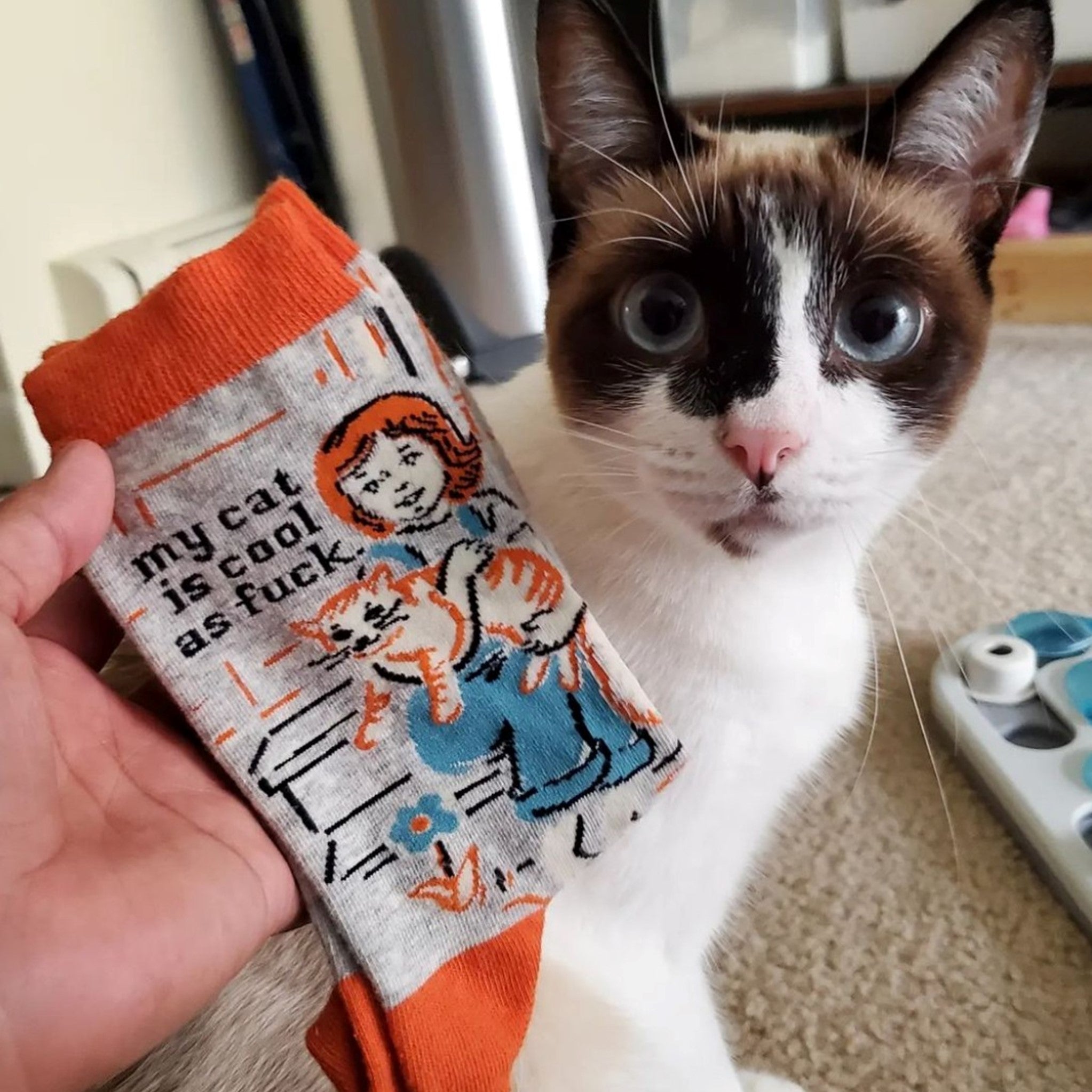 Socks - My Cat Is Cool as Fuck