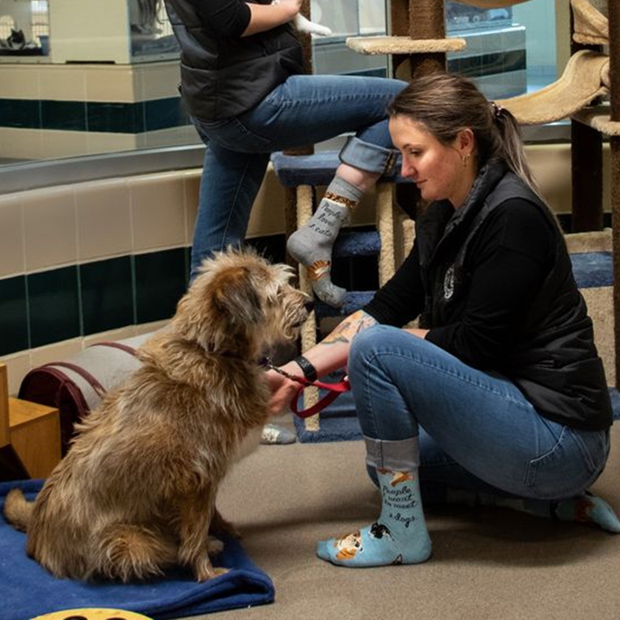 Socks - People to Meet: Dogs