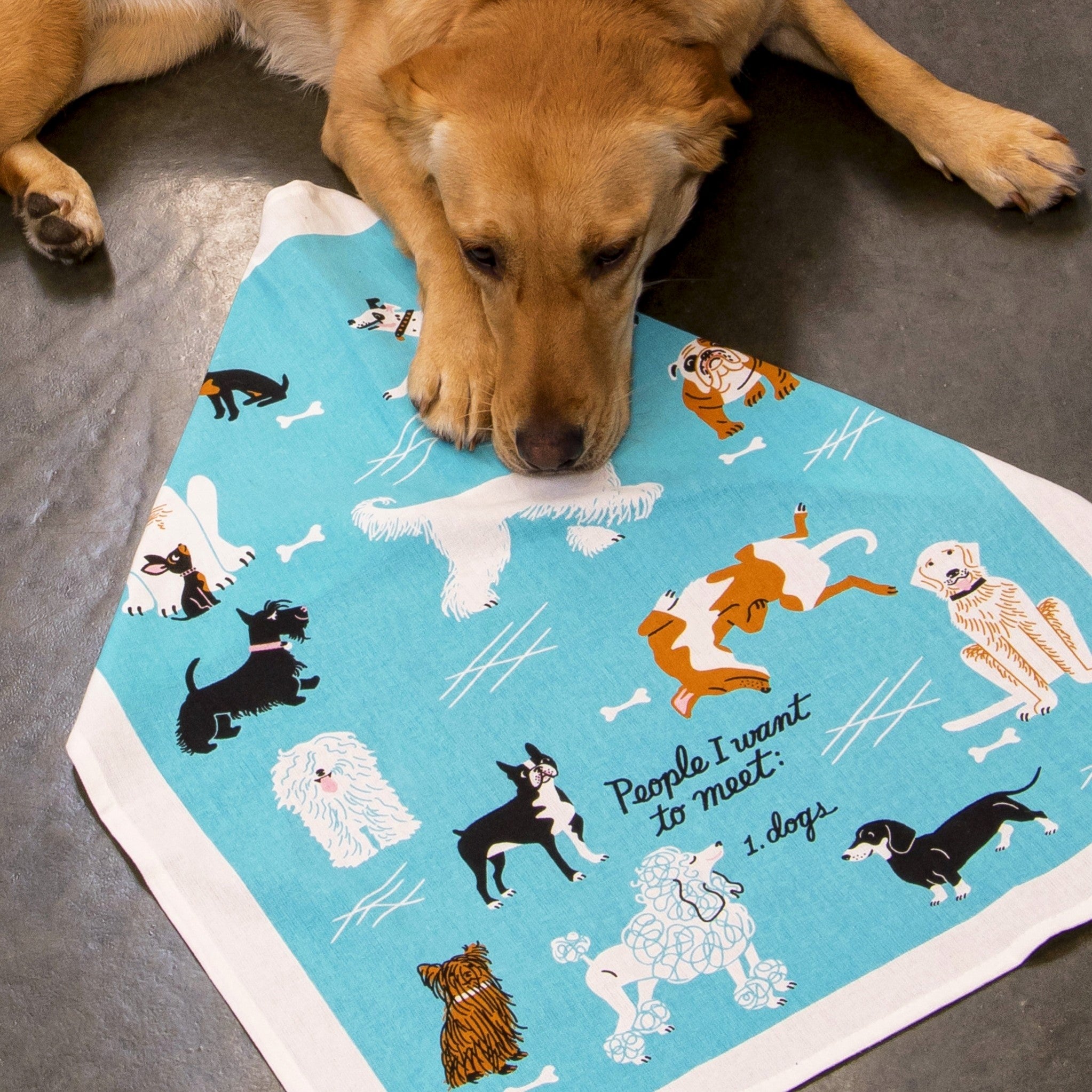 Dish Towels - People To Meet: Dogs