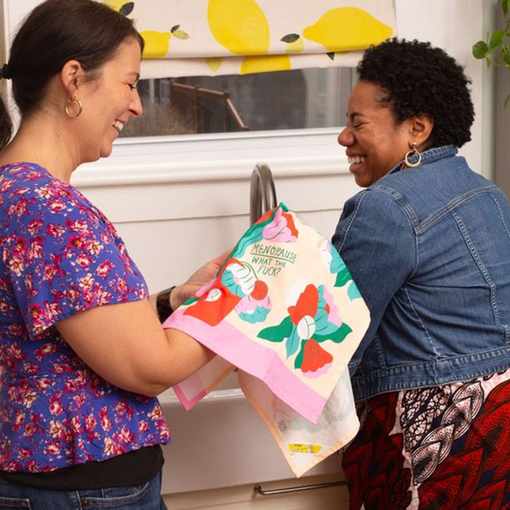 Dish Towels - Menopause