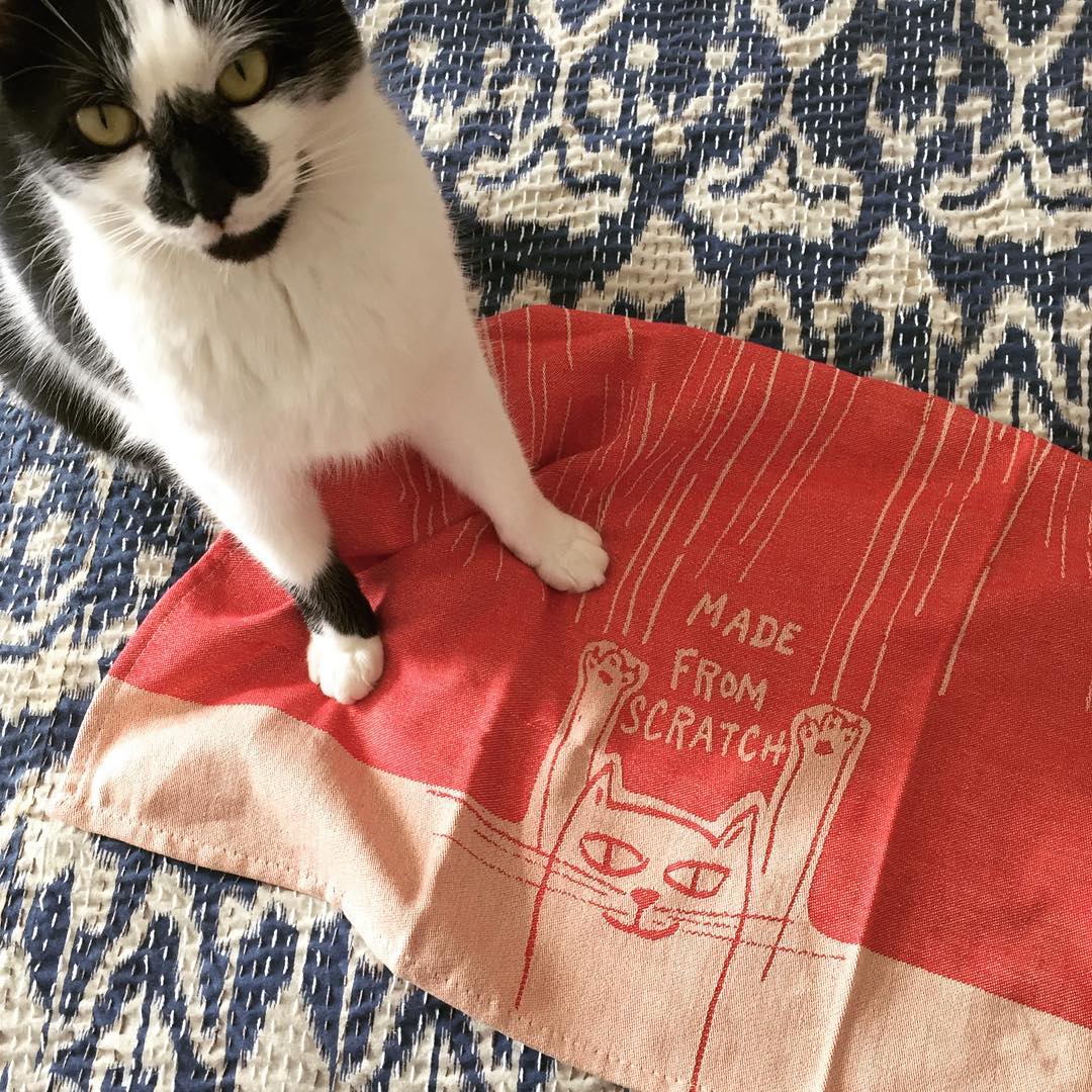 Dish Towels - Made from Scratch