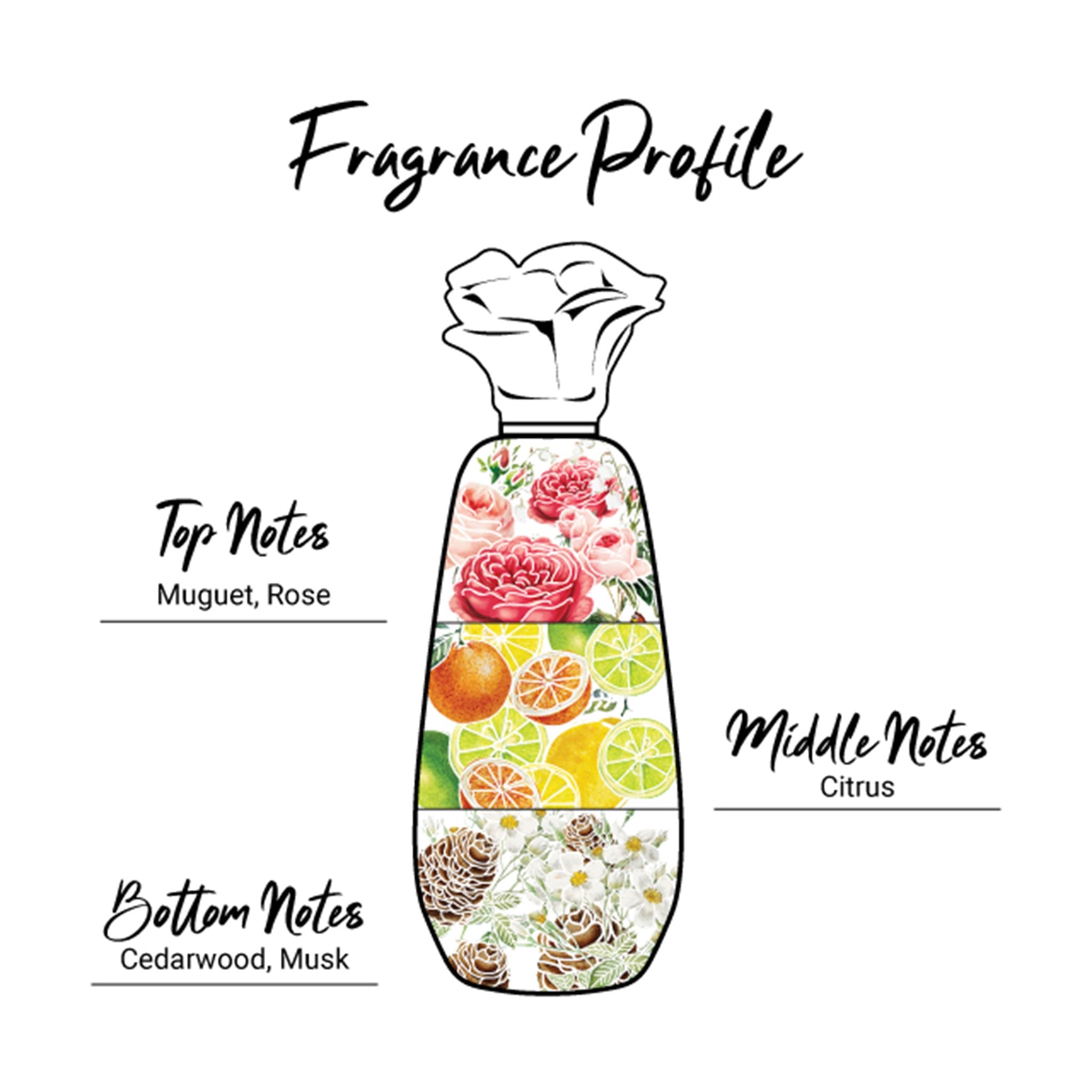 Perfumed Body Lotion 250ml - Charming