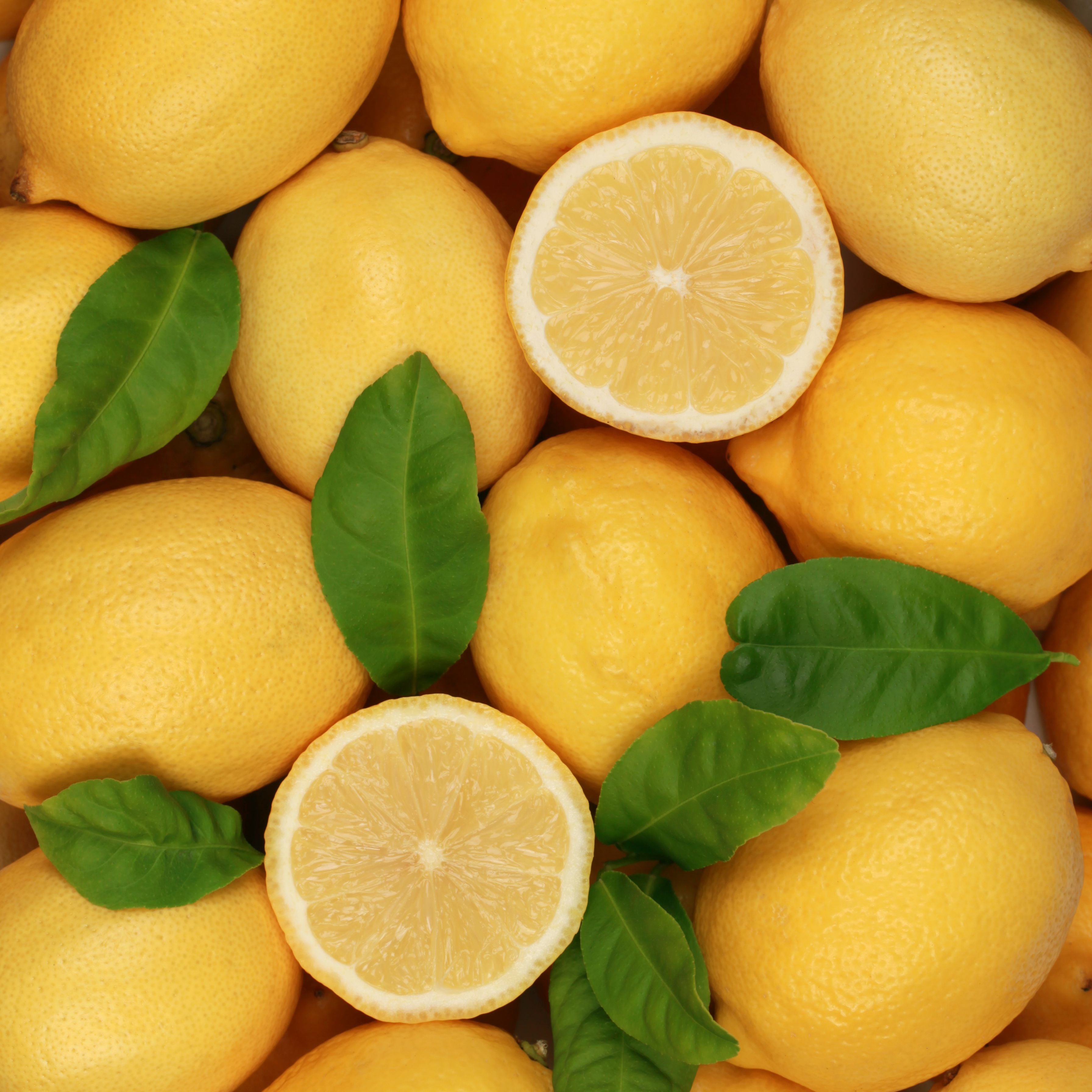 Kapiti Sugar Free Candy 100g - Lemon melts