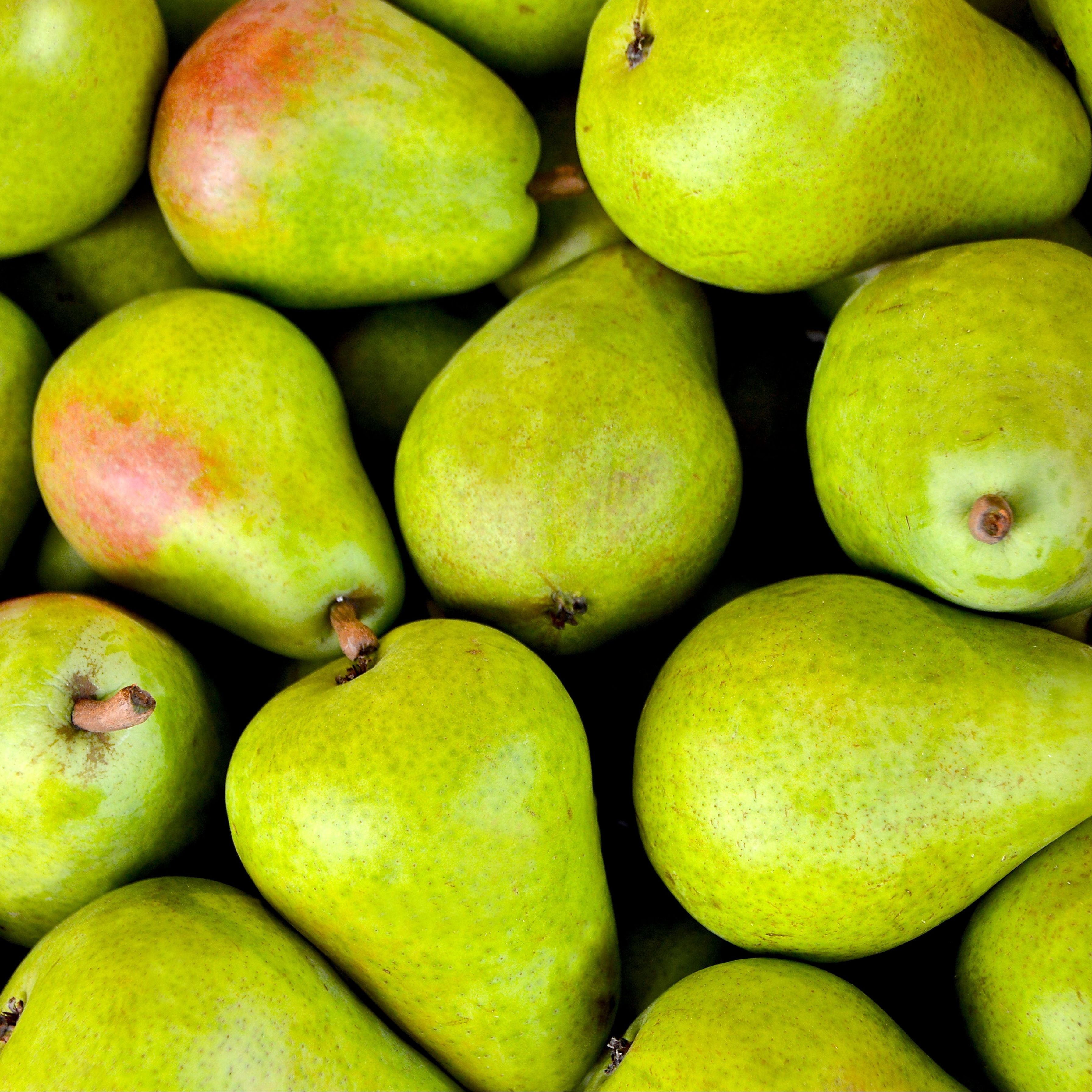 Kapiti Sugar Free Candy 100g - Pear melts