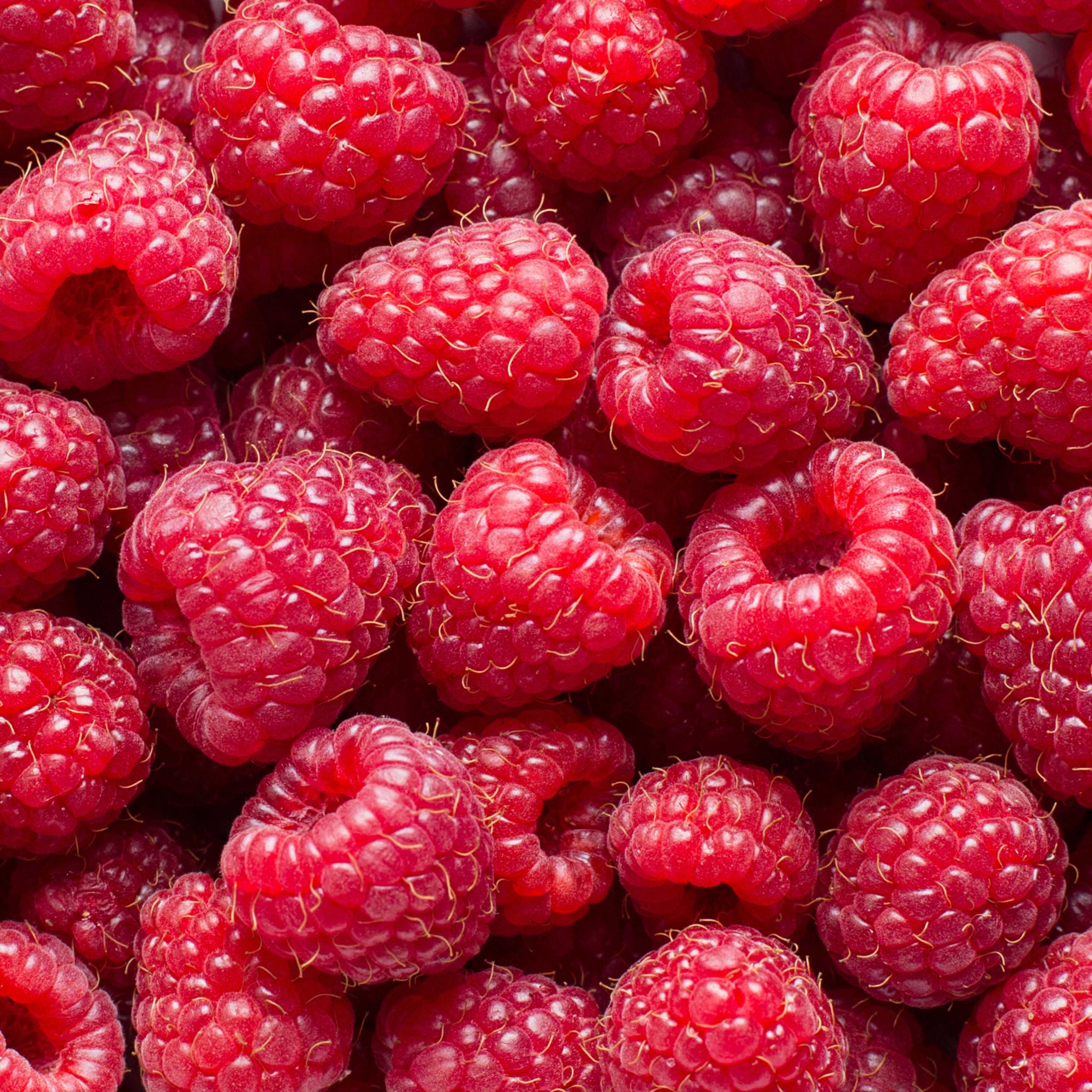 Kapiti Sugar Free Candy 100g - Raspberry Melts