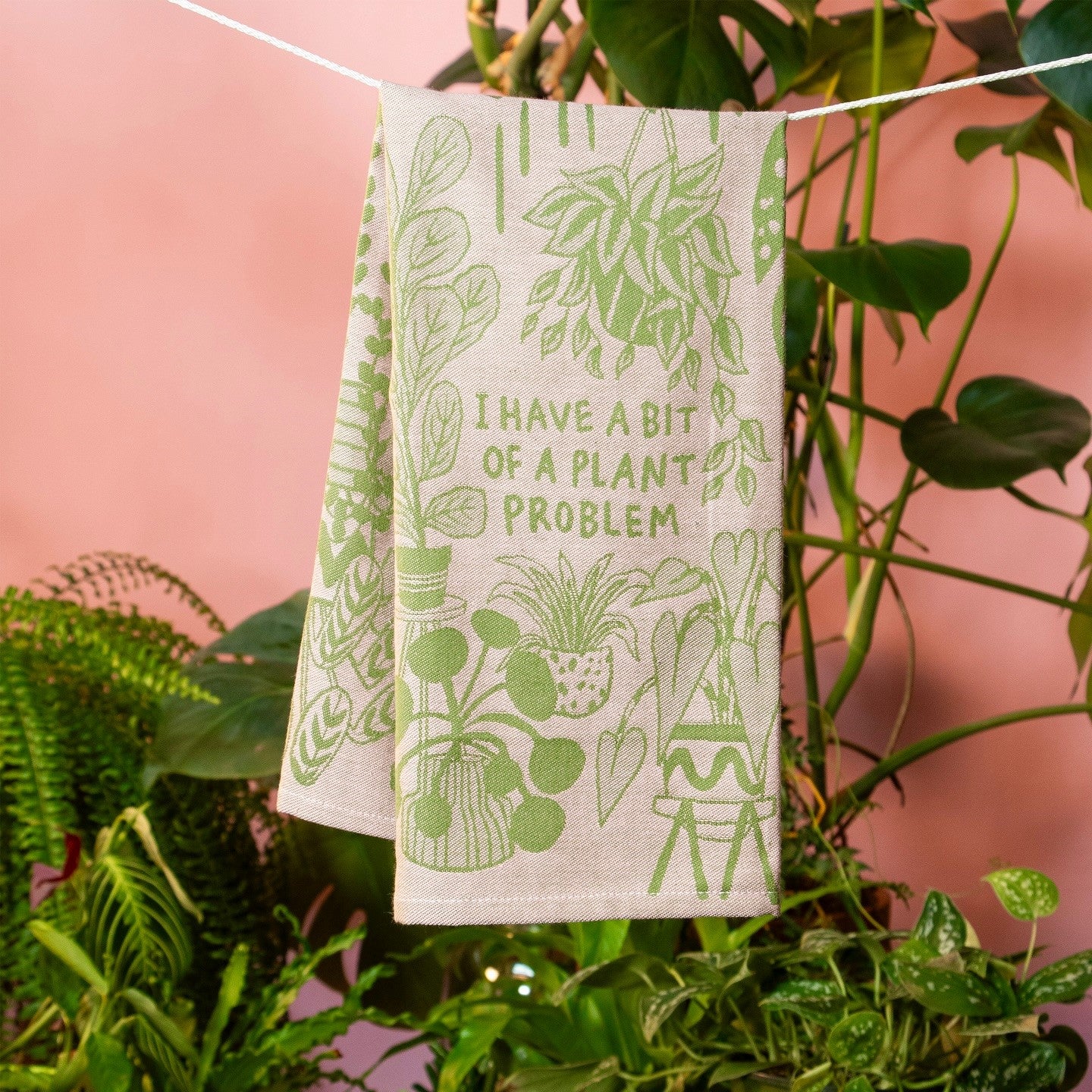 Dish Towels - Plant Problem